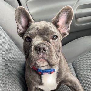 Meet your Posher, Aaron